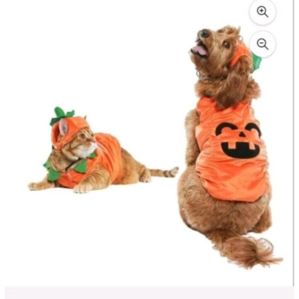 Vibrant Life Halloween Dog Costume and Cat Costume Jack-o'-lantern Size Small